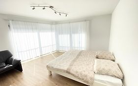 Modern One Bedroom + Bathroom Apartment, 10 Min From Basel City