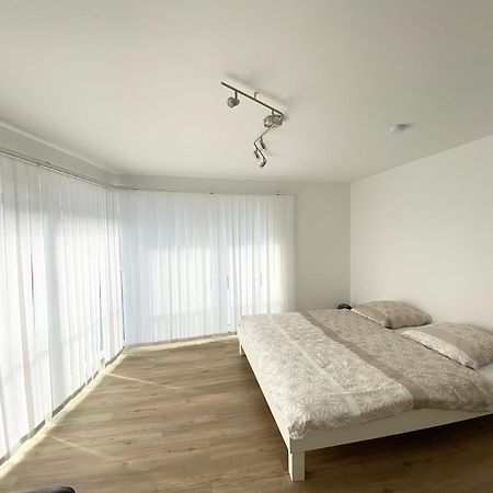 Modern One Bedroom + Bathroom Apartment, 10 Min From Basel City Grenzach-Wyhlen Buitenkant foto